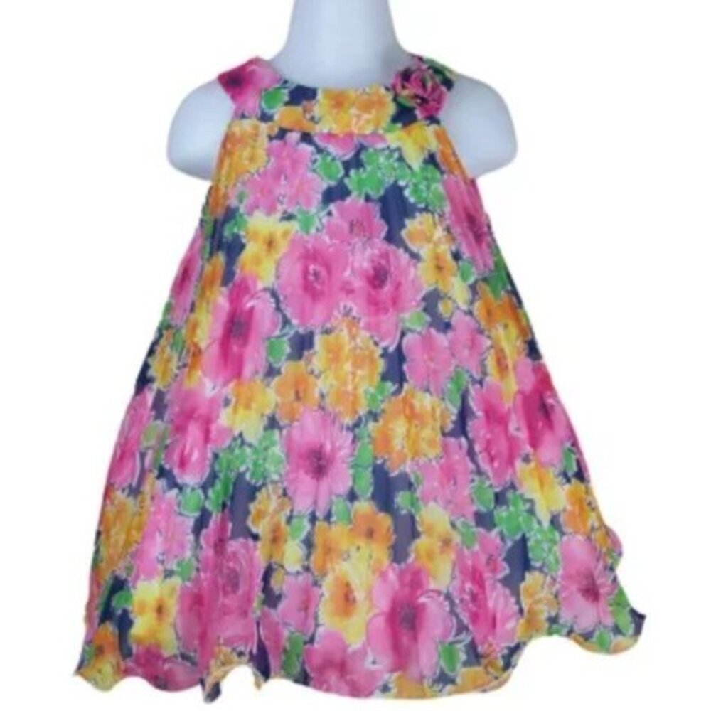 American Princess Girl Floral Dress Size 24M